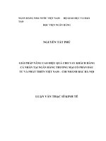 Giải pháp nâng cao hiệu quả cho vay khách hàng cá nhân tại BIDV chi nhánh Bắc Hà Nội