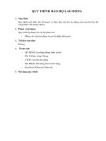 Quy trình bảo hộ lao động