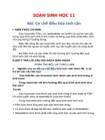 SOẠN SINH học 11   bài cơ chế điều hòa sinh sản 