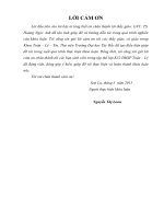 Phương pháp giải một số dạng bài tập đại số tuyến tính cơ bản 