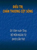 DT chan thuong cot song điều trị chấn thương cột sống   ths bs  nguyễn lưu giang