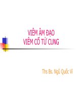 BÀI GIẢNG VIÊM ÂM ĐẠO - CỔ TỬ CUNG