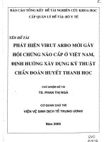 Phát hiện virus arbo mới gây hội chứng não cấp ở việt nam định hướng xây dựng kỹ thuật chuẩn đoán huyết thanh học 