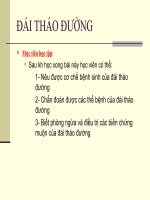 Dai thao duong y6 2011  điều trị đái tháo đường   ts  ngô văn truyền