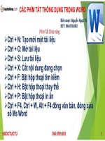 Word tổng hợp tất cả các phím tắt thường dùng trong microsoft word