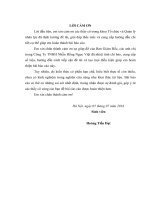 Thực trạng và giải pháp nâng cao chất lượng nguồn nhân lực tại công ty TNHH nhẫn hồng ngọc việt