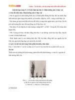 Giải bài tập trang 27, 31 SGK Sinh học lớp 11: Dinh dưỡng nitơ ở thực vật