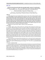 TÍNH TOÁN hệ số CHUYỂN đổi LIỂU DO PHƠI CHIẾU NGOÀI từ NGUỒN PHÁT GAMMA của CHUỔI 238u, 232TH, và 40k TRONG đất BẰNG CHƯƠNG TRÌNH MCNP5 