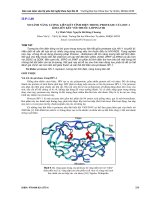 SO SÁNH NĂNG LƯỢNG LIÊN kết TĨNH điện TRONG PROTEASE của HIV 1 KHI LIÊN kết với THUỐC LOPINAVIR 