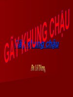 Gay khung chau gãy khung chậu   bs CKI  lê dũng