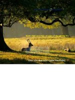 tiết 68 nếu trái đất thiếu trẻ con 