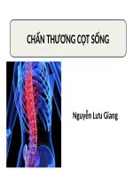 Spine trauma điều trị chấn thương cột sống   ths bs  nguyễn lưu giang