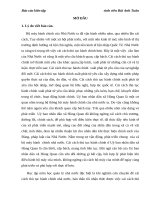 Công tác cải cách thủ tục hành chính tại Ủy ban nhân dân xã Hùng Quan