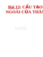 Bài giảng sinh học 6 bài 13 cấu tạo ngoài của thân 