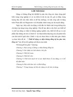 Thiết kế động cơ điện không đồng bộ ba pha rôto lồng sóc (Kèm file Autocad)