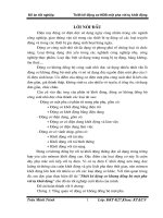 Thiết kế động cơ không đồng bộ một pha với tụ khởi động (Kèm bản vẽ Autocad)