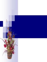 Bài giảng điện tử lịch sử trưng vương và cuộc chiến chống xâm lược 