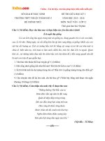 Đề thi giữa học kỳ I môn Ngữ văn lớp 12 trường THPT Thuận Thành số 3, Bắc Ninh năm học 2015 - 2016