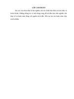 THỰC TRẠNG VĂN HÓA ỨNG XỬ CỦA CÁN BỘ, CÔNG CHỨC, VIÊN CHỨC  BỘ NỘI VỤ