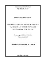 NGHIÊN cứu các yếu tố ẢNH HƯỞNG đến NĂNG SUẤT cây cà PHÊ ở xã IAYOK HUYỆN IAGRAI TỈNH GIA LAI