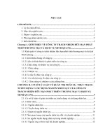 THỰC TRẠNG TUYỂN DỤNG VÀ SỬ DỤNG NGUỒN NHÂN LỰC CỦA CÔNG TY TRÁCH NHIỆM HỮU HẠN PHÁT TRIỂN THƯƠNG MẠI VÀ DỊCH VỤ MINH QUANG