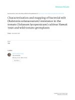 2007   characterisation and mapping of bacterial wilt (ralstonia solanacearum) resistance in the tomato (so