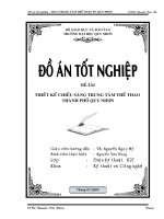 Thiết Kế Chiếu Sáng Trung Tâm Thể Thao Thành Phố Quy Nhơn (Kèm Bản Vẽ)