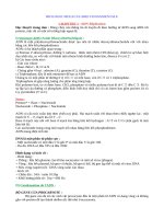 Sự nhân đôi ADN (sinh học phân tử tế bào)