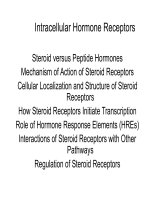 En int r7 Intracellular Hormone Receptors