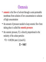 bài giảng vật lý bằng tiếng anh osmosis