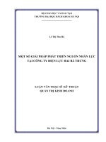 Một số giải pháp phát triển nguồn nhân lực tại công ty điện lực hai bà trưng 