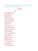 Tiếng anh tiểu học cho các em học sinh chưa giỏi tiếng anh