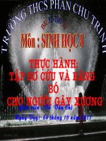 Bài giảng điện tử thực hành tập sơ cứu và băng bó gãy xương (4) 