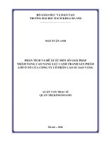 Phân tích và đề xuất một số giải pháp nhằm nâng cao năng lực cạnh tranh sản phẩm lốp ô tô của công ty cổ phần cao su sao vàng 