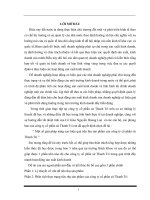 Đề tài Một số giải pháp đẩy mạnh hoạt động tiêu thụ sản phẩm ở công ty cổ phần sứ Thanh Trì