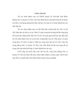 THỰC TRẠNG CÔNG TÁC ĐÀO TẠO, BỒI DƯỠNG CÁN BỘ, CÔNG CHỨC CẤP CƠ SỞ ( XÃ, THỊ TRẤN) TẠI HUYỆN VŨ THƯ, TỈNH THÁI BÌNH