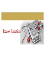 bài giảng hóa học bằng tiếng anh Redox Reaction hay nhất