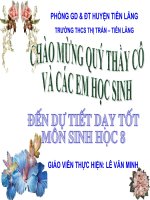 Bài giảng điện tử thực hành tập sơ cứu và băng bó gãy xương (6) 