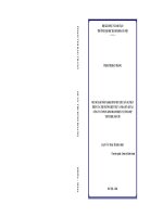 Một số giải pháp marketing mix thúc đẩy sự phát triển của thị trường biệt thự và nhà liền kề tại công ty cổ phần kinh doanh dịch vụ tổng hợp VIETSTARLAND ltd 