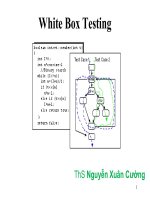 Tài liệu lý thuyết kiểm thử hộp trắng