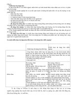 câu hỏi thi quản trị chiến lược