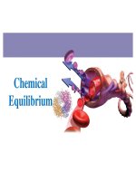 Bài giảng hóa bằng tiếng anh Chemical Equilibrium
