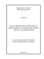 Quản lý rủi ro tín dụng trong cho vay doanh nghiệp tại Ngân hàng Công thương Việt Nam  Chi nhánh Hà Tĩnh