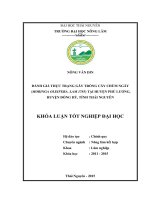 Đánh giá thực trạng gây trồng cây chùm ngây (moringa oleifera  lam1785) tại huyện phú lương   huyện đồng hỷ   tỉnh thái nguyên