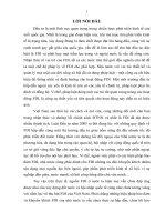 Một số vấn đề lý luận và thực tiễn về các biện pháp bảo đảm và khuyến khích đầu tư trực tiếp nước ngoài tại Việt Nam