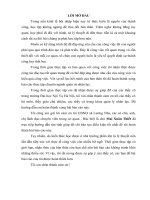 Thực trạng và giải pháp nâng cao hiệu quả công tác  bồi dưỡng cán bộ, công chức Uỷ ban nhân dân xã Lương Nha, huyện Thanh Sơn, tỉnh Phú Thọ