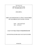 Chiến lược kinh doanh của công ty trách nhiệm hữu hạn Hibrand Việt Nam đến năm 2020