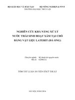 Nghiên cứu khả năng xử lý nước thải sinh hoạt xám tại chỗ bằng vật liệu laterit (đá ong) (TT)