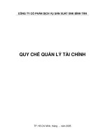 Quy che tai chinh CTCP binh tan