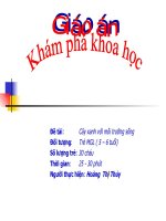 Cây xanh và môi trường sống 